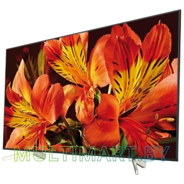 Телевизор Sony KD-55XF8596 картинка 2